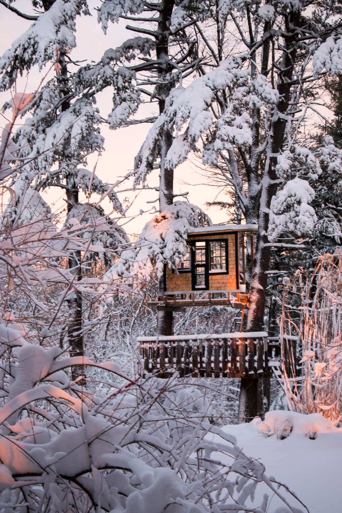 Treehouse garden folly in winter by rochelle greayer