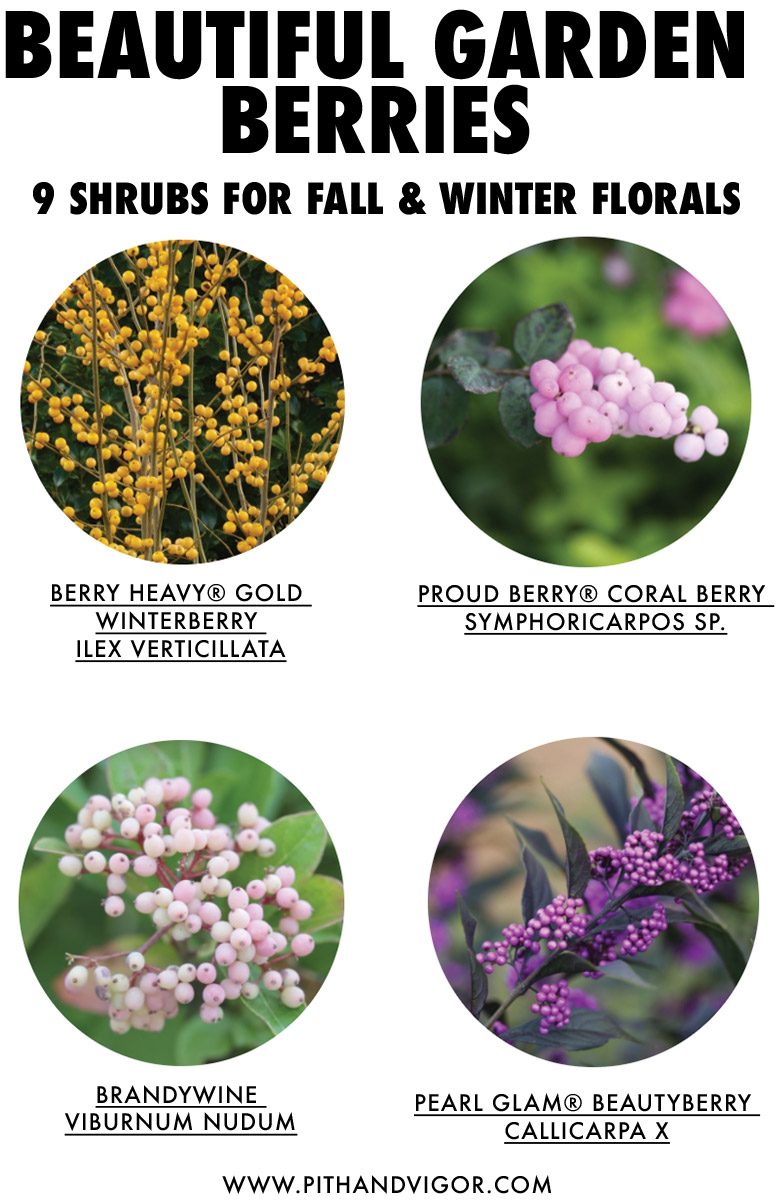 Beautiful Types of Berries to grow for floral arranging