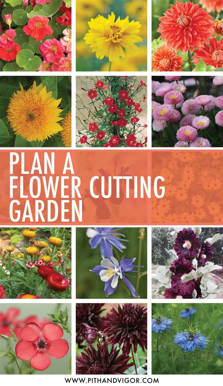 A complete plan for a flower cutting garden with cheryl parker