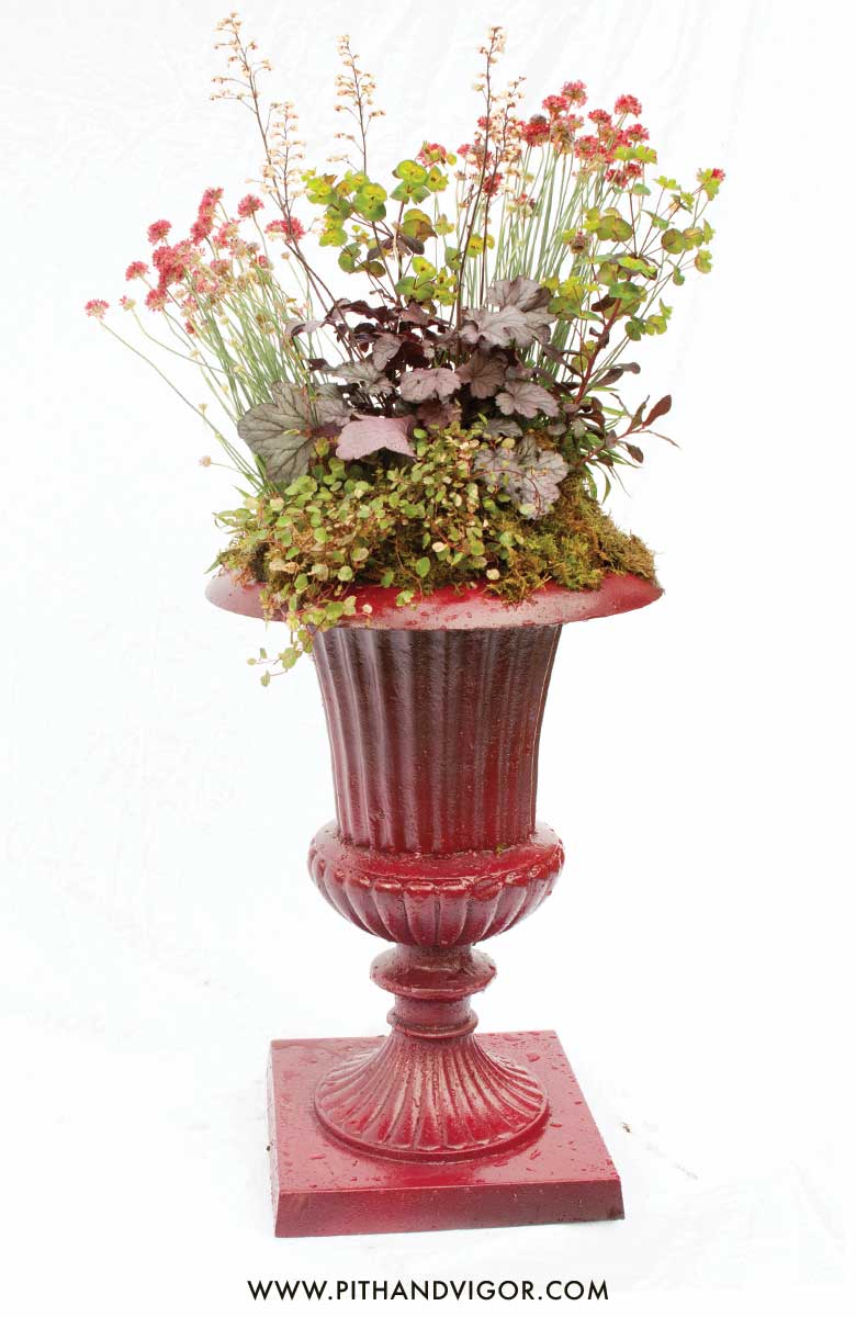 Container Gardening inspiration - stately natural rouge