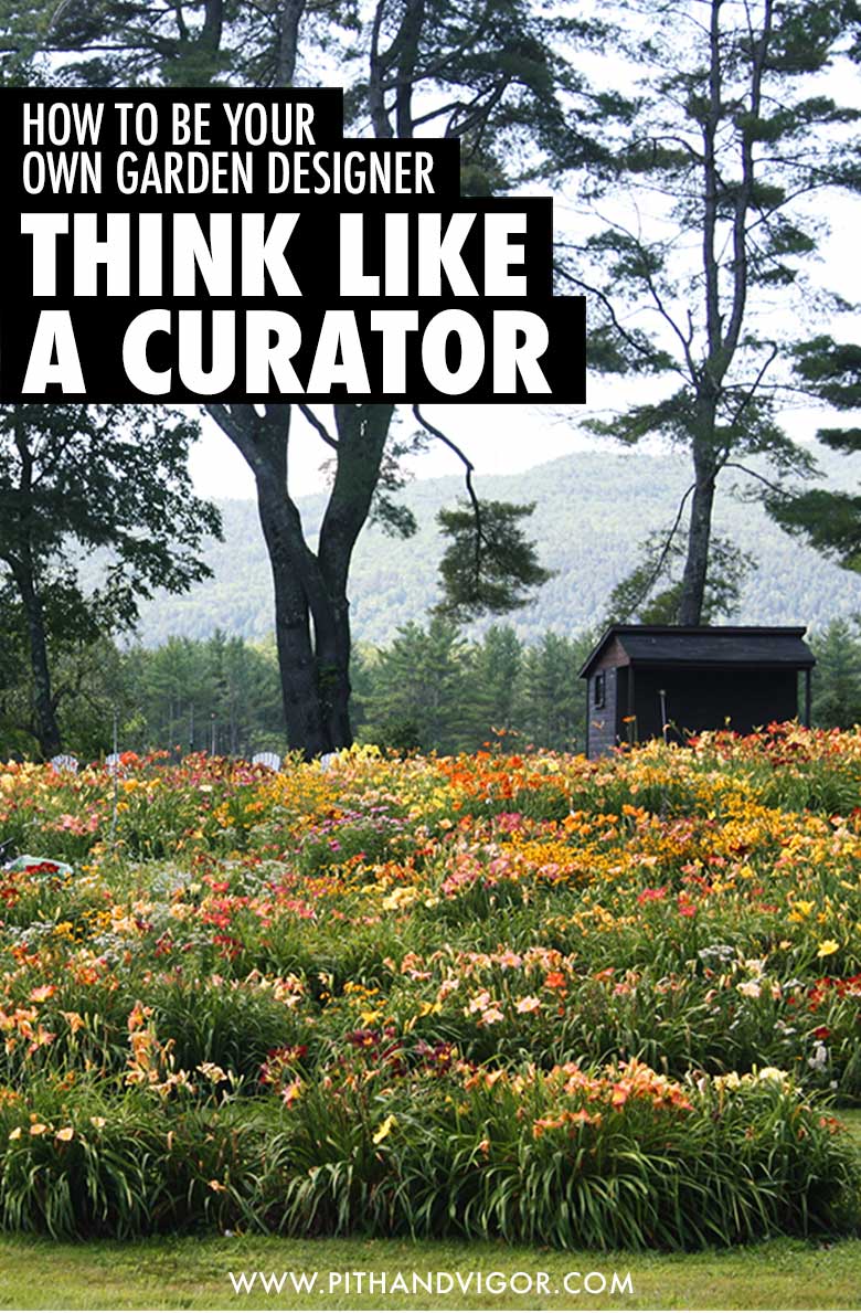 How to be your own garden designer - think like a curator