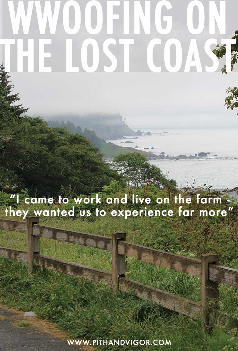 WWOOFing The Lost Coast - A Travel Essay