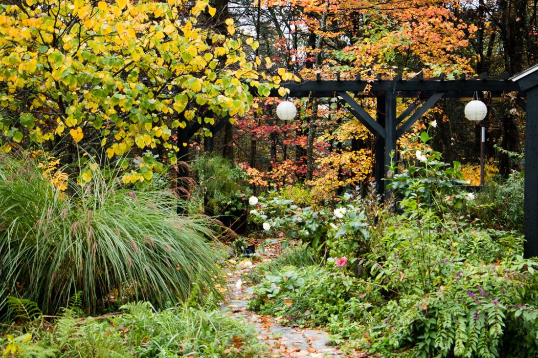 A fall garden with a path and trees.