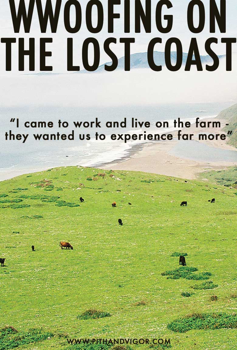 WWOOFing on the lost coast of California - A Travel Essay