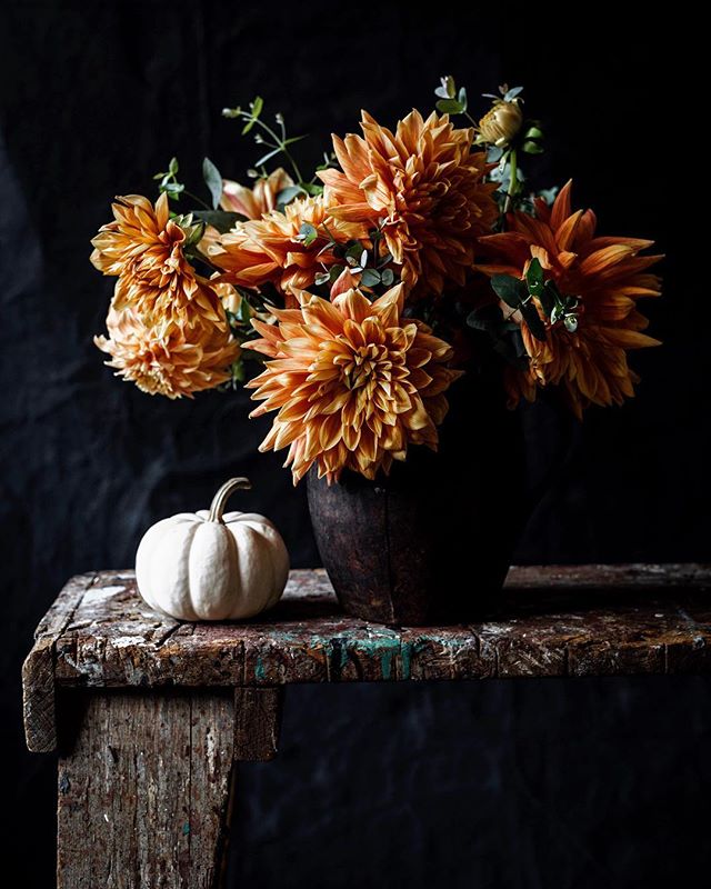 6 Instagram Still Life Photography Artists To Be Inspired By - Jamie Jamison @alajamie