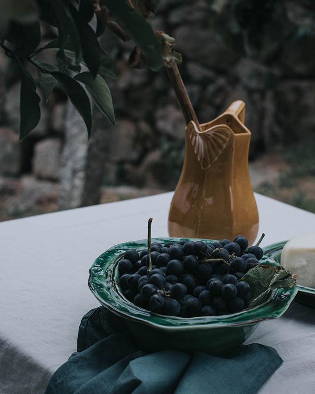 6 Instagram Still Life Photography Artists To Be Inspired By - Ana Zilhao @_thegoodoldfashioned