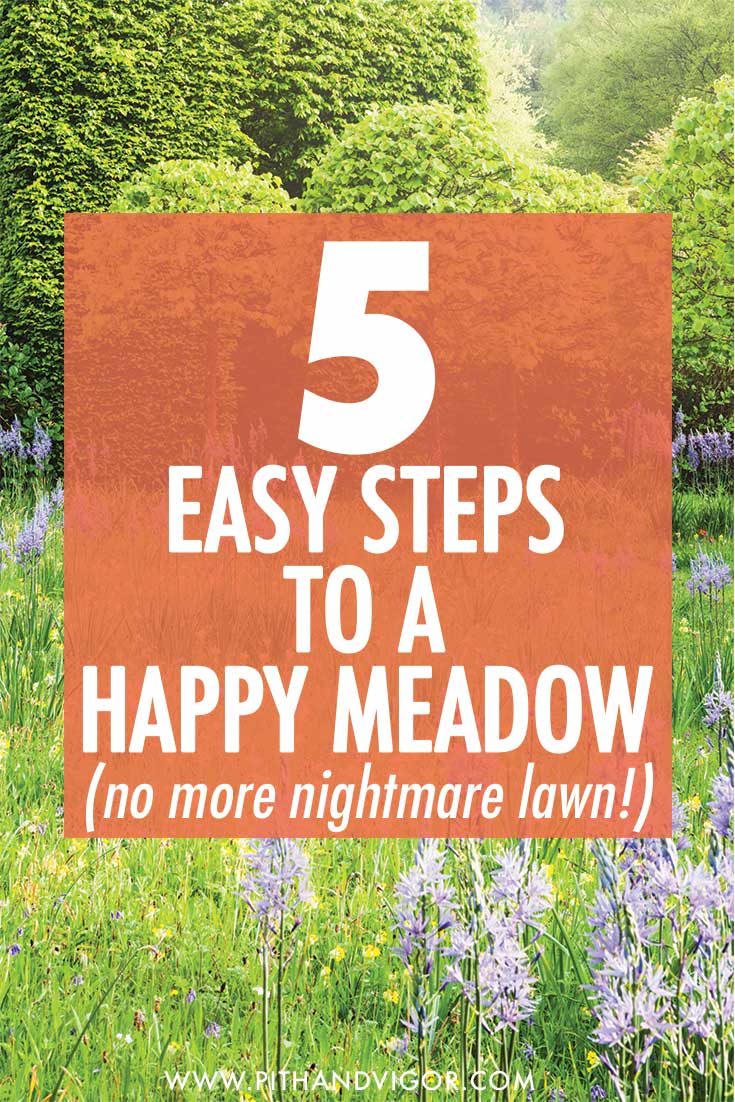 From nightmare lawn to happy meadow in 5 easy steps