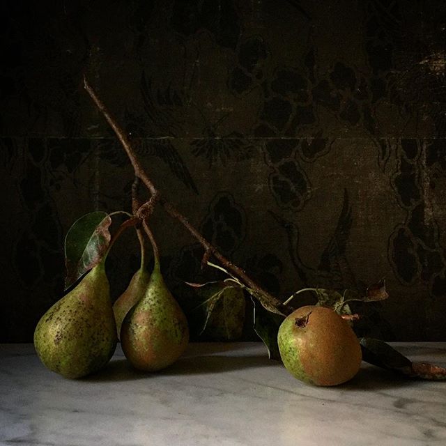 6 Instagram Still Life Photography Artists To Be Inspired By - John Ross - @patchnyc