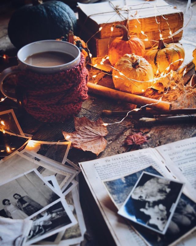 6 Instagram Still Life Photography Artists To Be Inspired By - Karen @permillion44