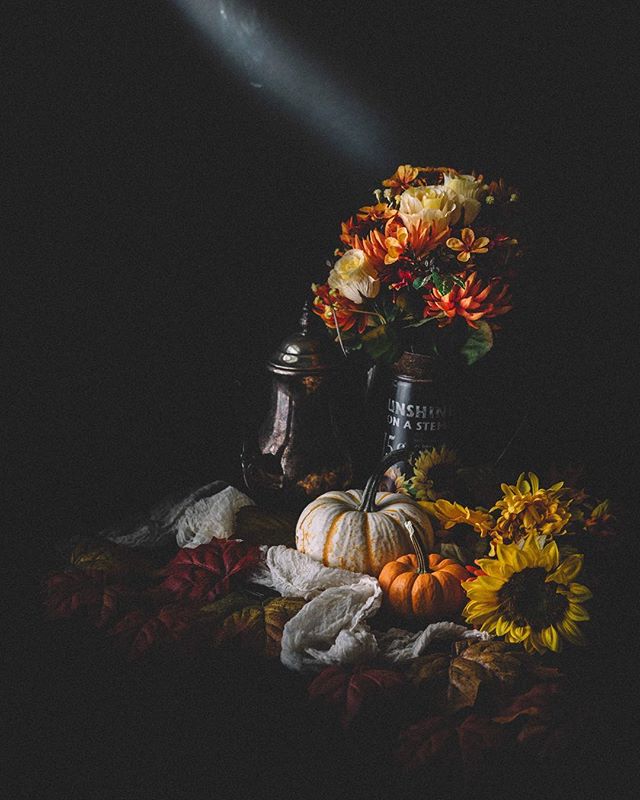 6 Instagram Still Life Photography Artists To Be Inspired By - N.C. Stephens @terminatetor
