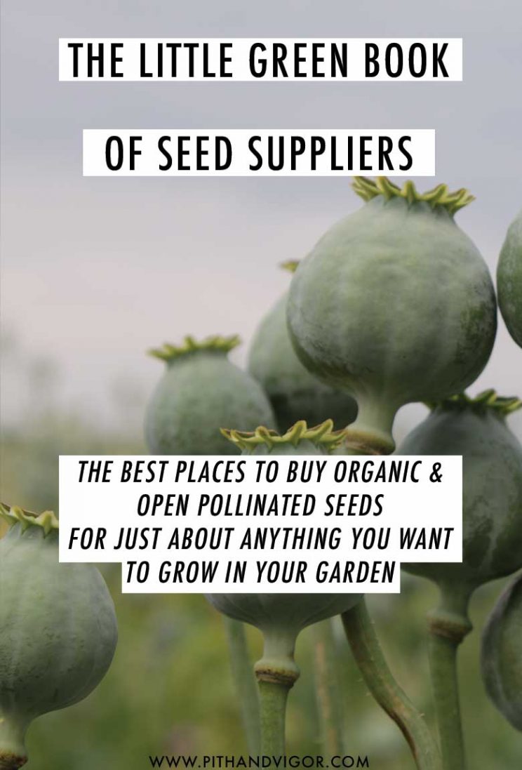 The best places to buy organic and open pollinated seeds for just about anything you want to grow in your garden