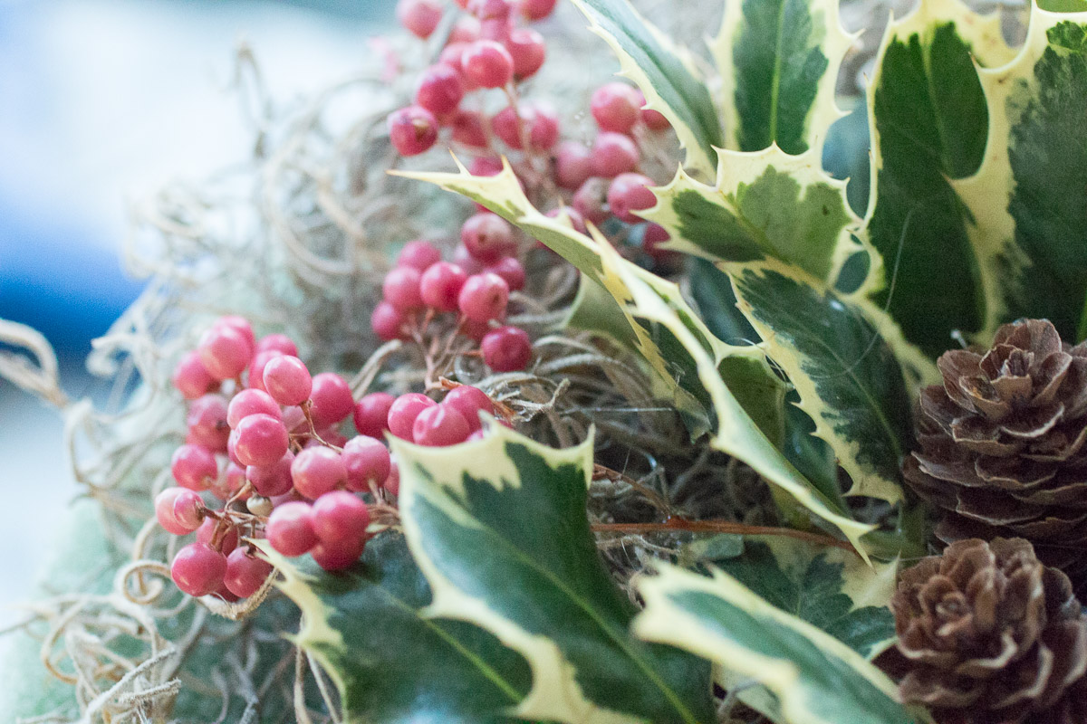 Pepperberry add a pop of hot pink to a holiday garden decor