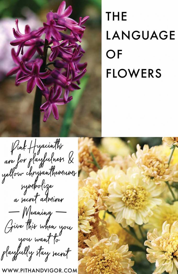 The language of flowers - saying what you really mean - with flowers (click through for more msgs)