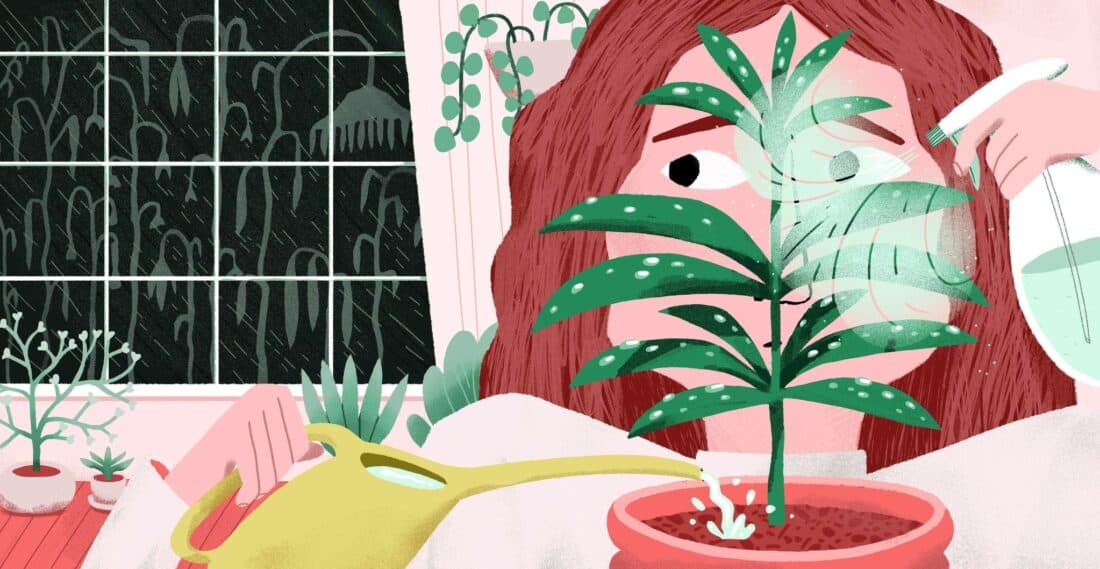 Illustration of a person, likely inspired by Charlotte Mendelson, indoors watering a potted plant with a watering can while misting it with a spray bottle. Outside, rain pours heavily. The room, reminiscent of a garden writer's haven, brims with multiple plants and features a large window showcasing the rain.