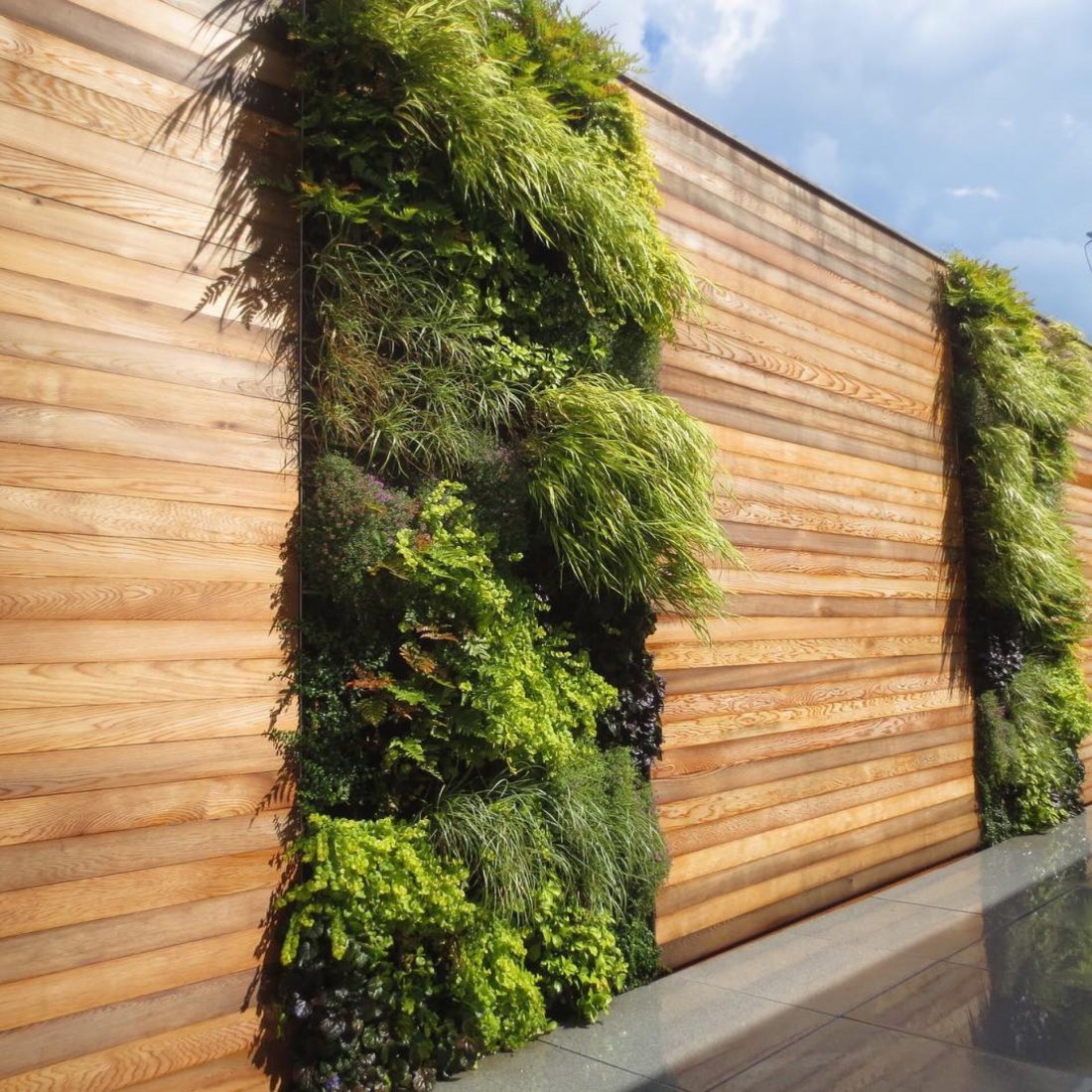 Why I landscape - a happy career story. Vertical planted wall by Town and Gardens NYC.