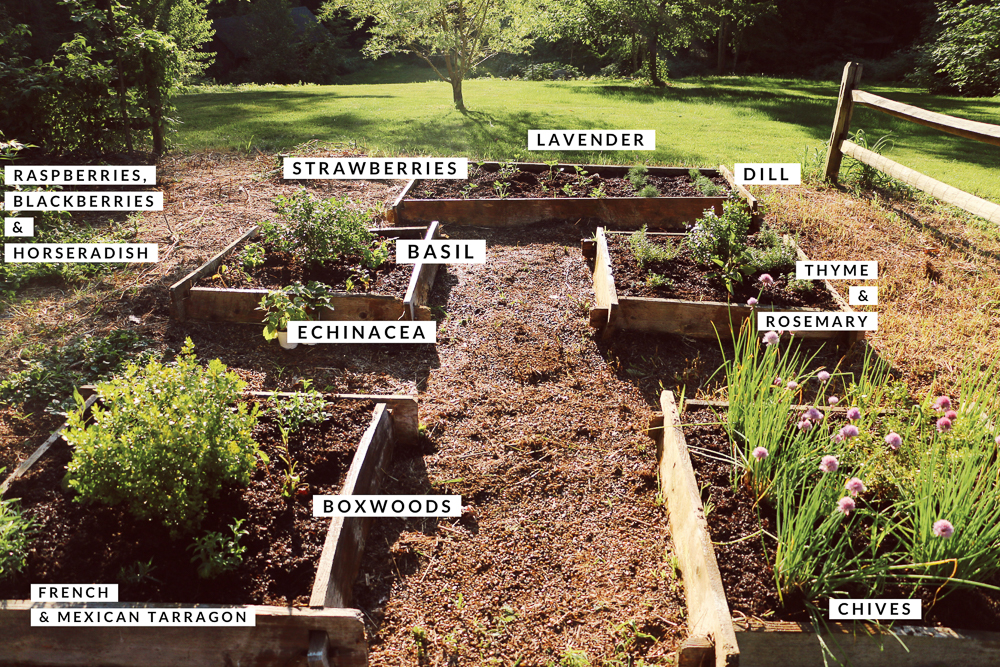 After - Reclaiming the Vegetable patch. An easy makeover.