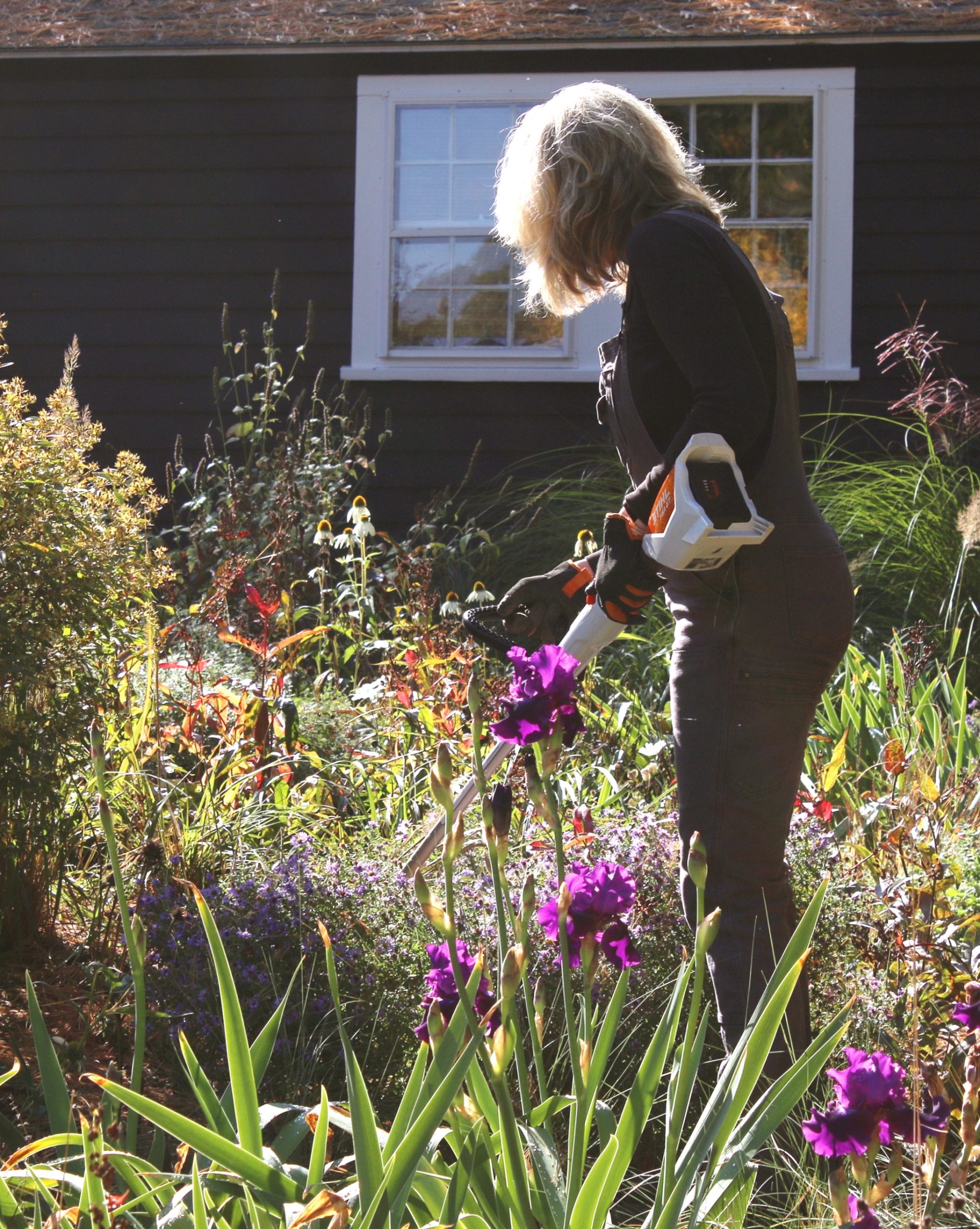Cut it or keep it - Maintaining a new naturalistic garden