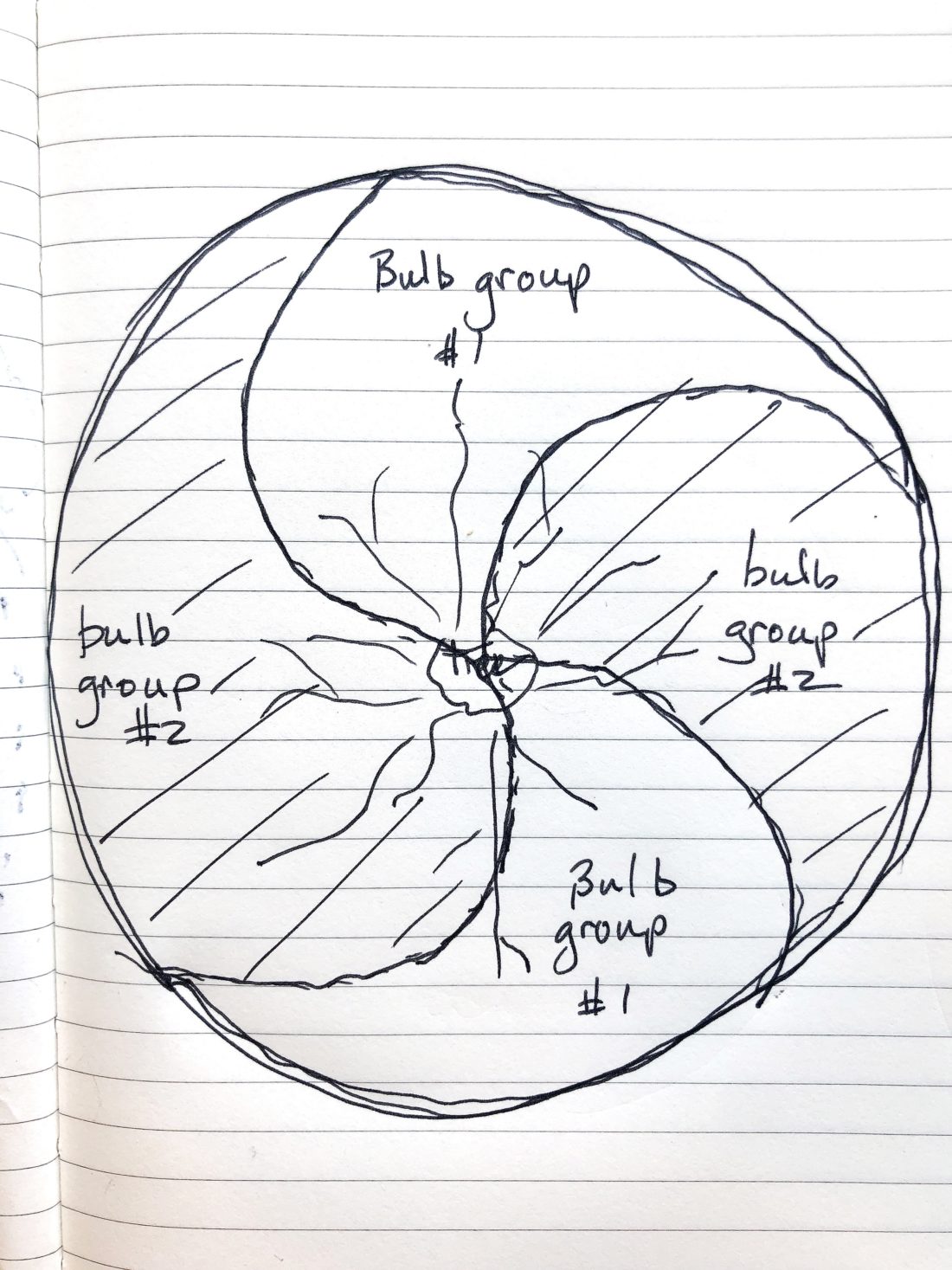 detailed stinze plan for rochelle greayer PITH + Vigor bulb lawn stinzenplanten
