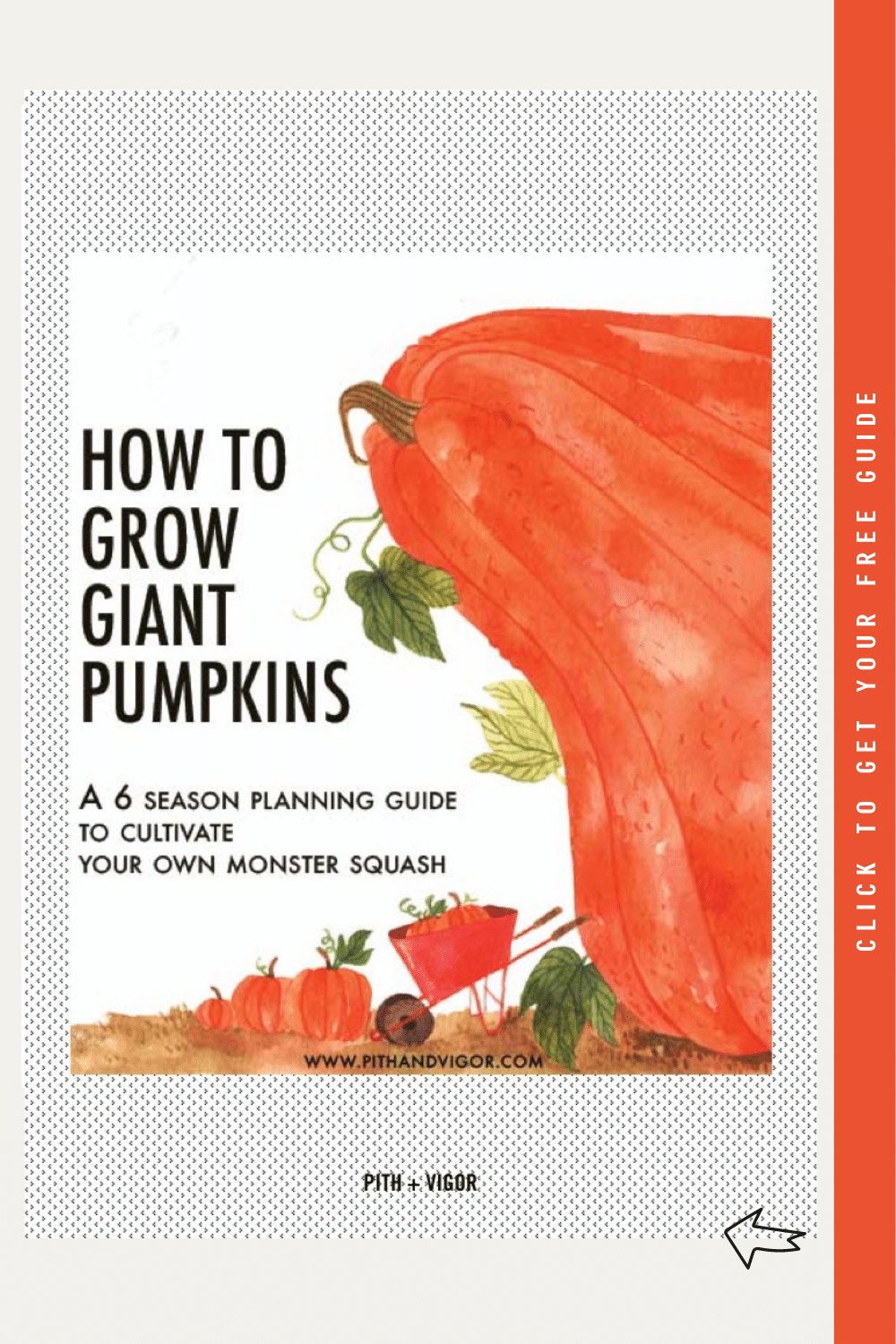 growing giant pumpkin illustration