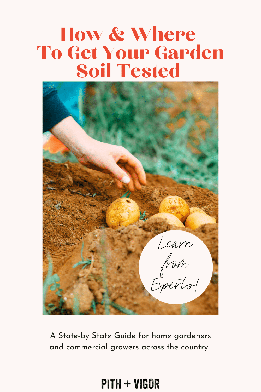 state-by state soil testing guide
