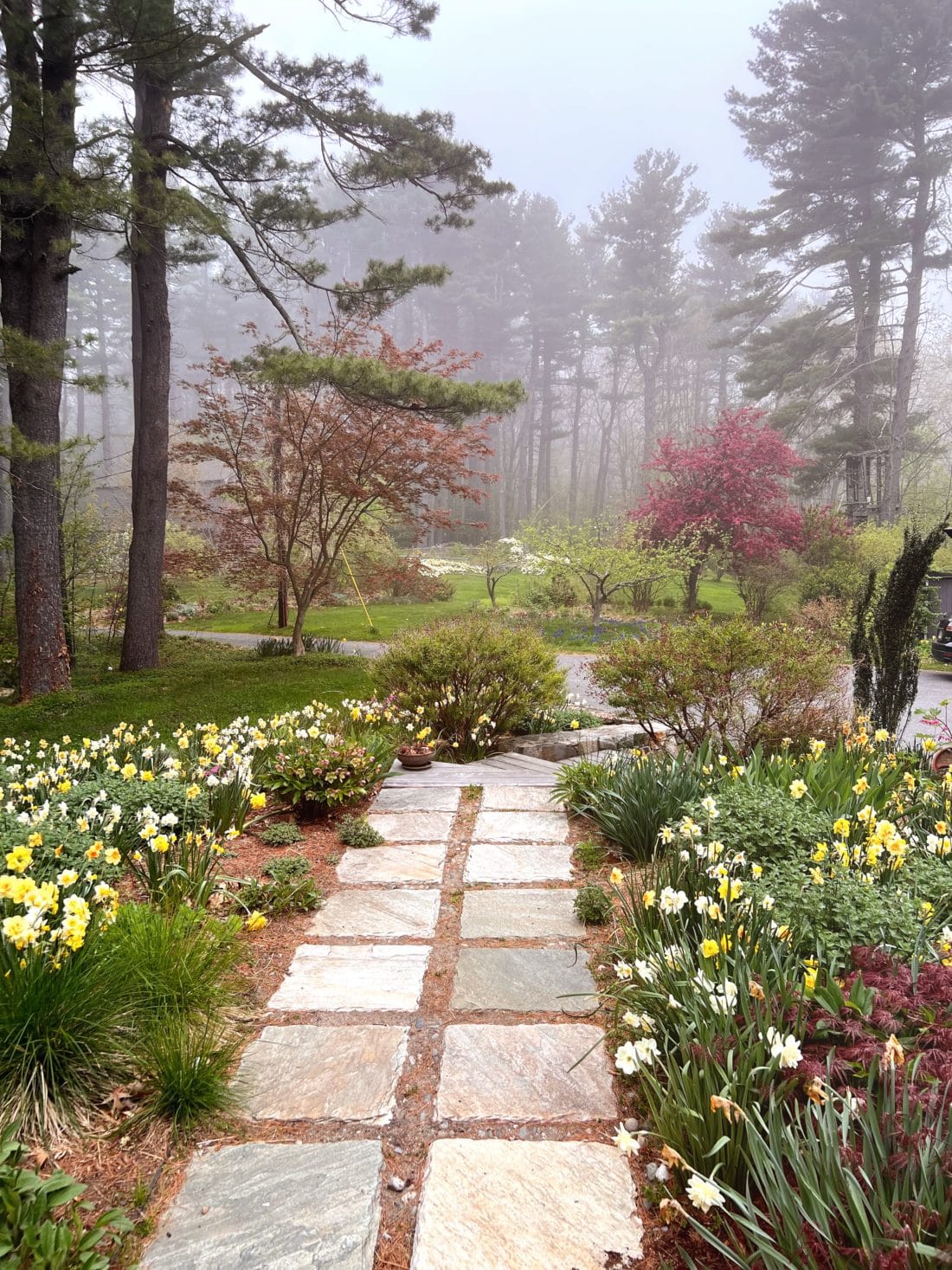 How to evolve your garden's flower bed design