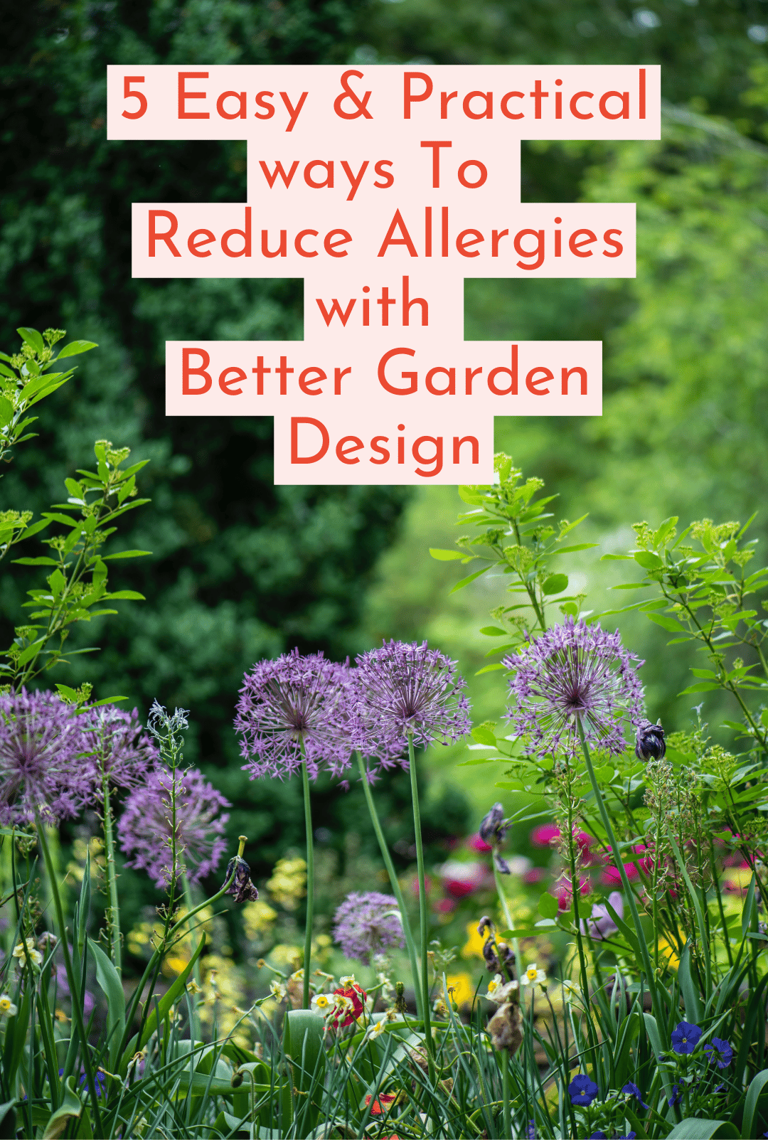 5 easy and practical was to reduce allergies with better garden design