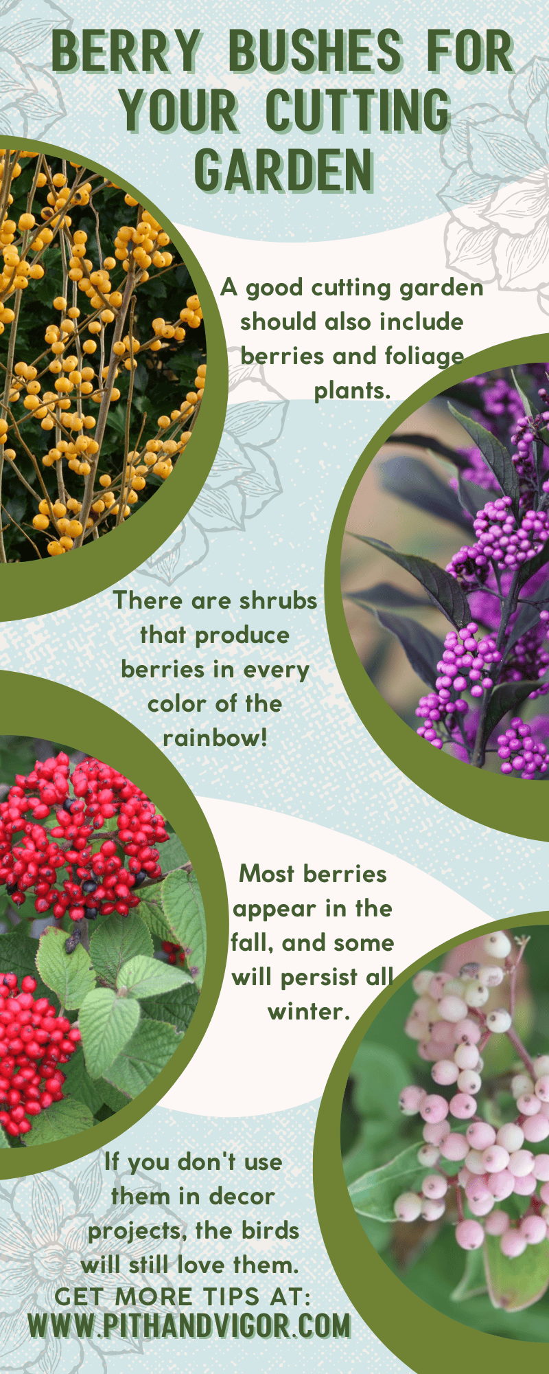 berry bushes for your cutting garden
