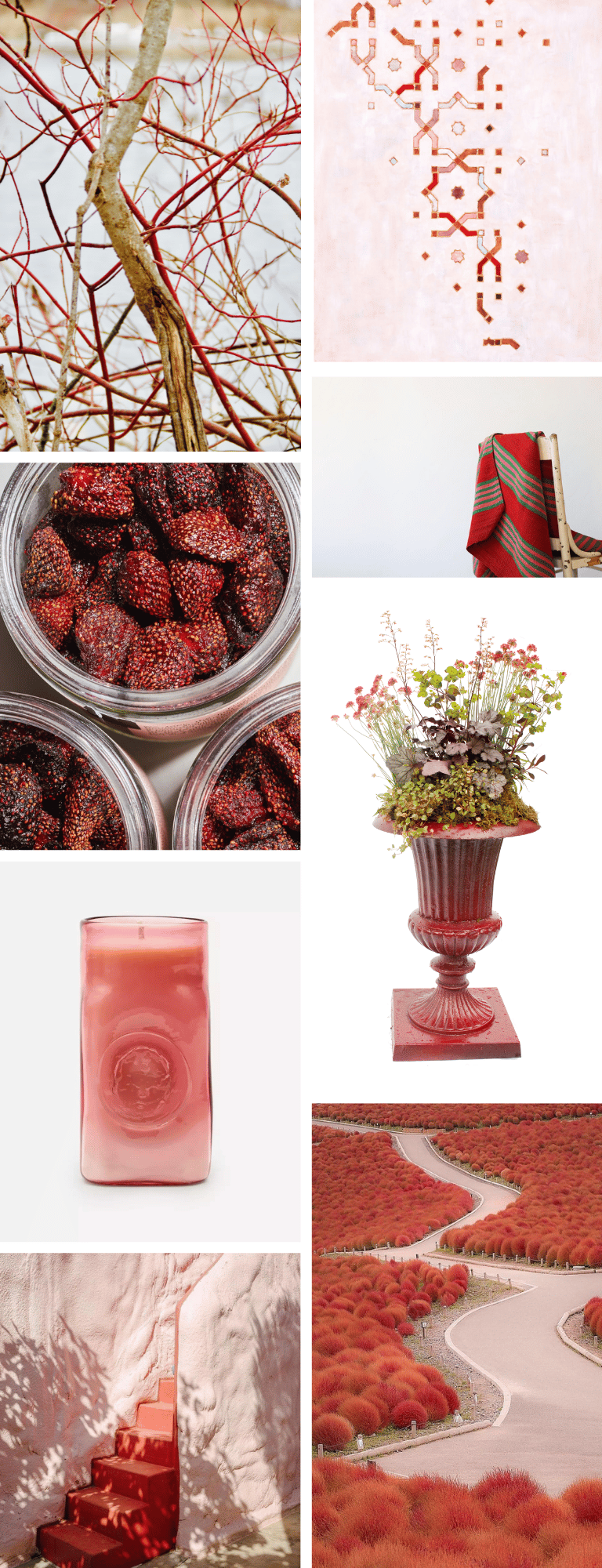 A vibrant collage of red plants and flowers, perfect for a Landscape Design mood board.