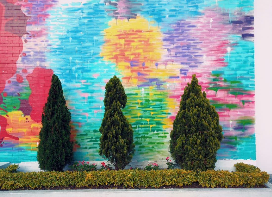 three evergreen shrubs in front of a mural wall.
