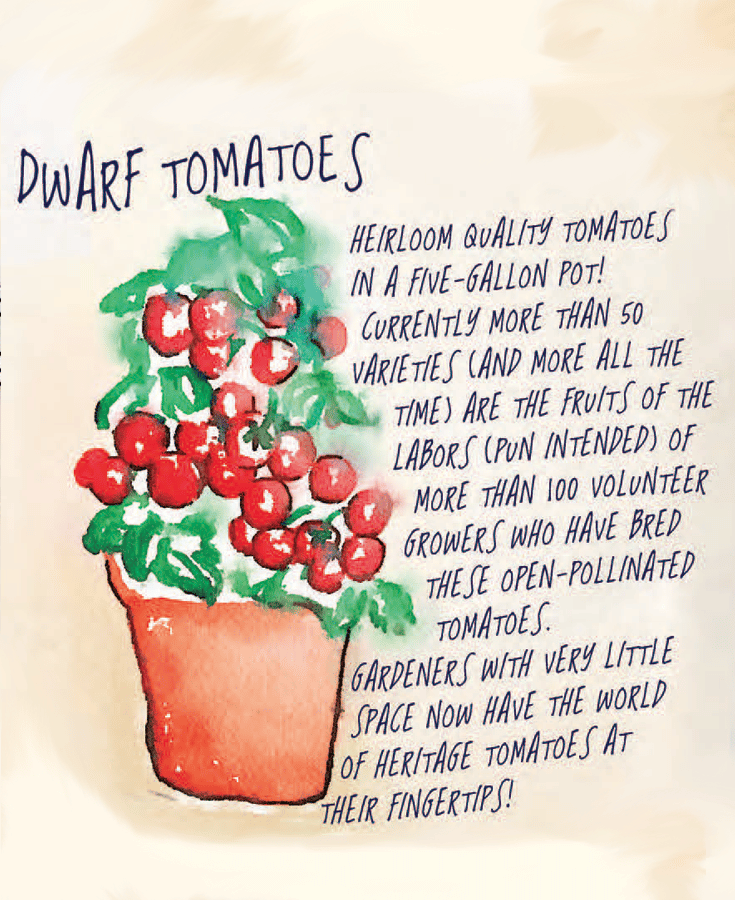 This image has an empty alt attribute; its file name is tomato.png