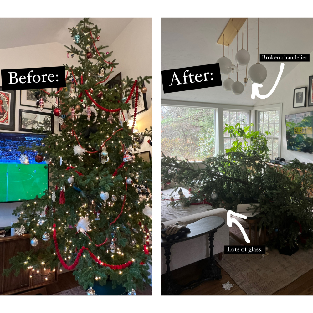 christmas tree down 2022