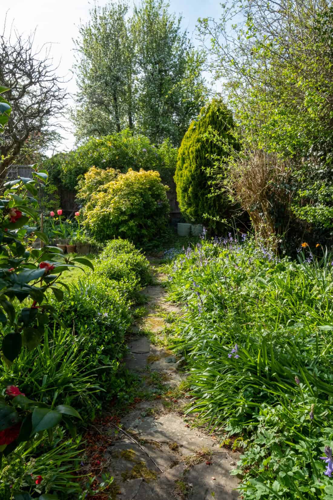 A lush garden path, bordered by dense greenery and an overgrown array of blooming flowers, leads toward tall trees in the background. The sunlit scene is dappled with shadows cast by the surrounding foliage.