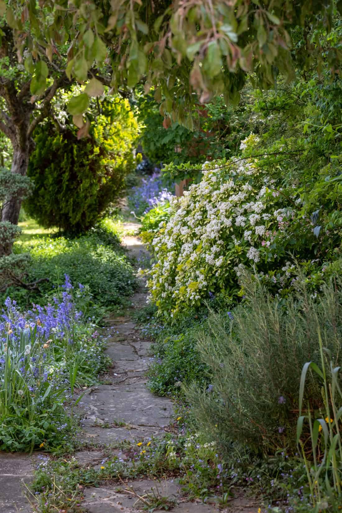 A stone pathway winds through an overgrown garden, lined with blooming white flowers and tall greenery. Purple flowers accent the scene under dappled sunlight filtering through the trees above.