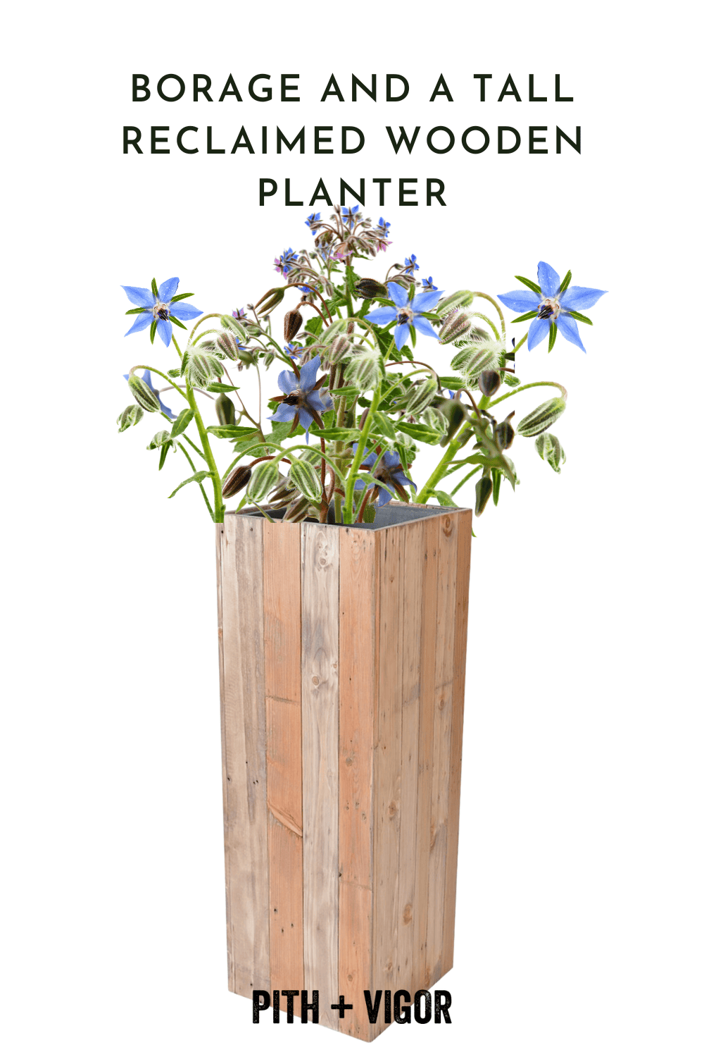 reclaimed wood planter and brage container garden combo