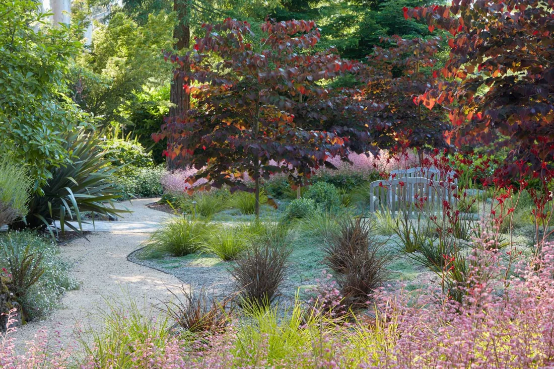 high style planting inspiration featuring lots Cercis canadensis trees,