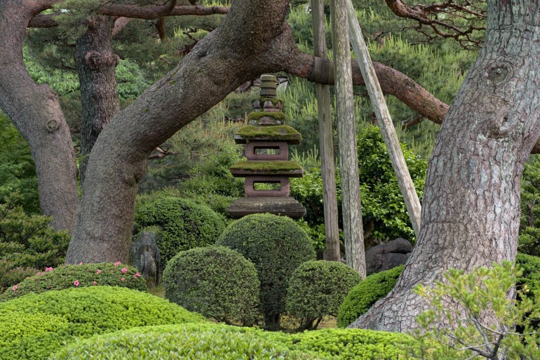 A traditional Japanese stone lantern stands amidst lush greenery and twisted tree trunks in a serene garden. Nearby, a tsukubai bamboo fountain trickles gently, enhancing the natural, tranquil atmosphere as moss blankets the lantern.