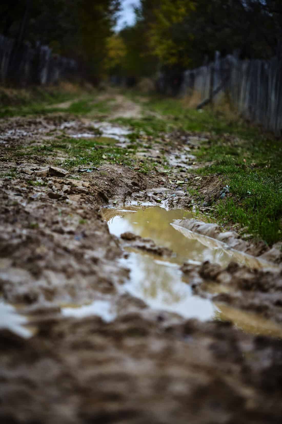 A close-up view of a muddy backyard path with shallow puddles, bordered by grass and wire fences. The background reveals trees with leaves turning yellow, hinting at autumn. The path narrows into the distance, creating a sense of depth, and the scene inspires thoughts of a rain garden solution.