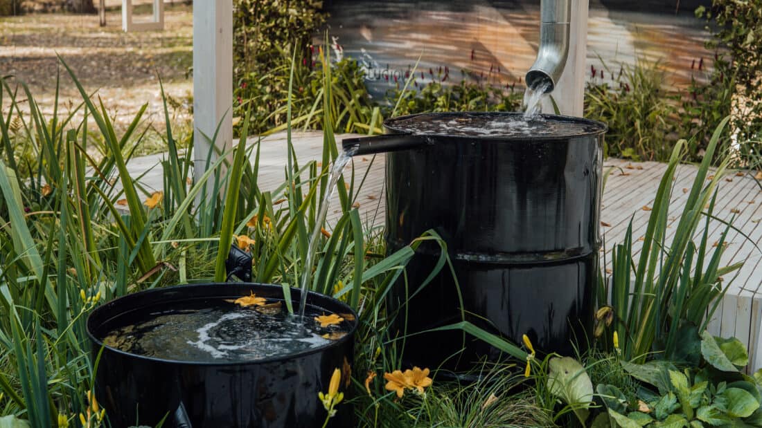 rain garden plants surround roof water collection fountain