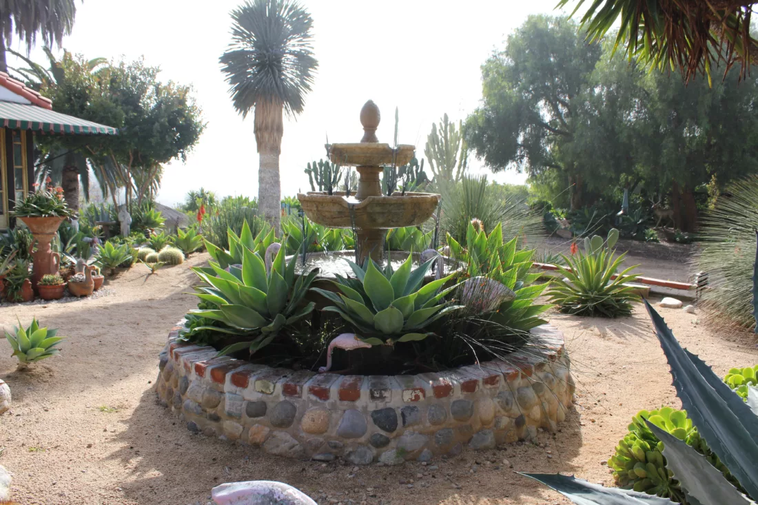 water fountain in a xeric garden