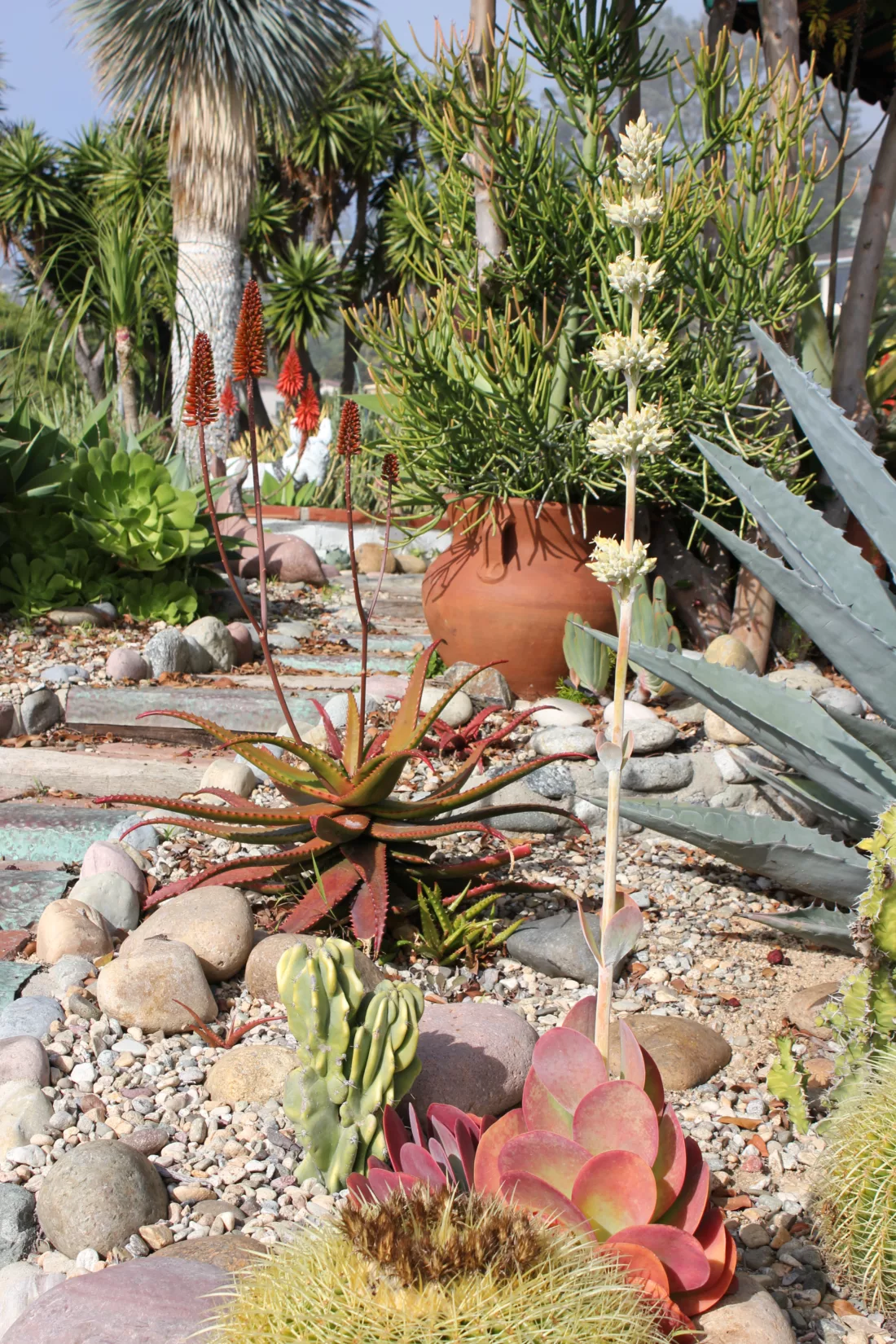 rocks create texture and interest in a xeric garden