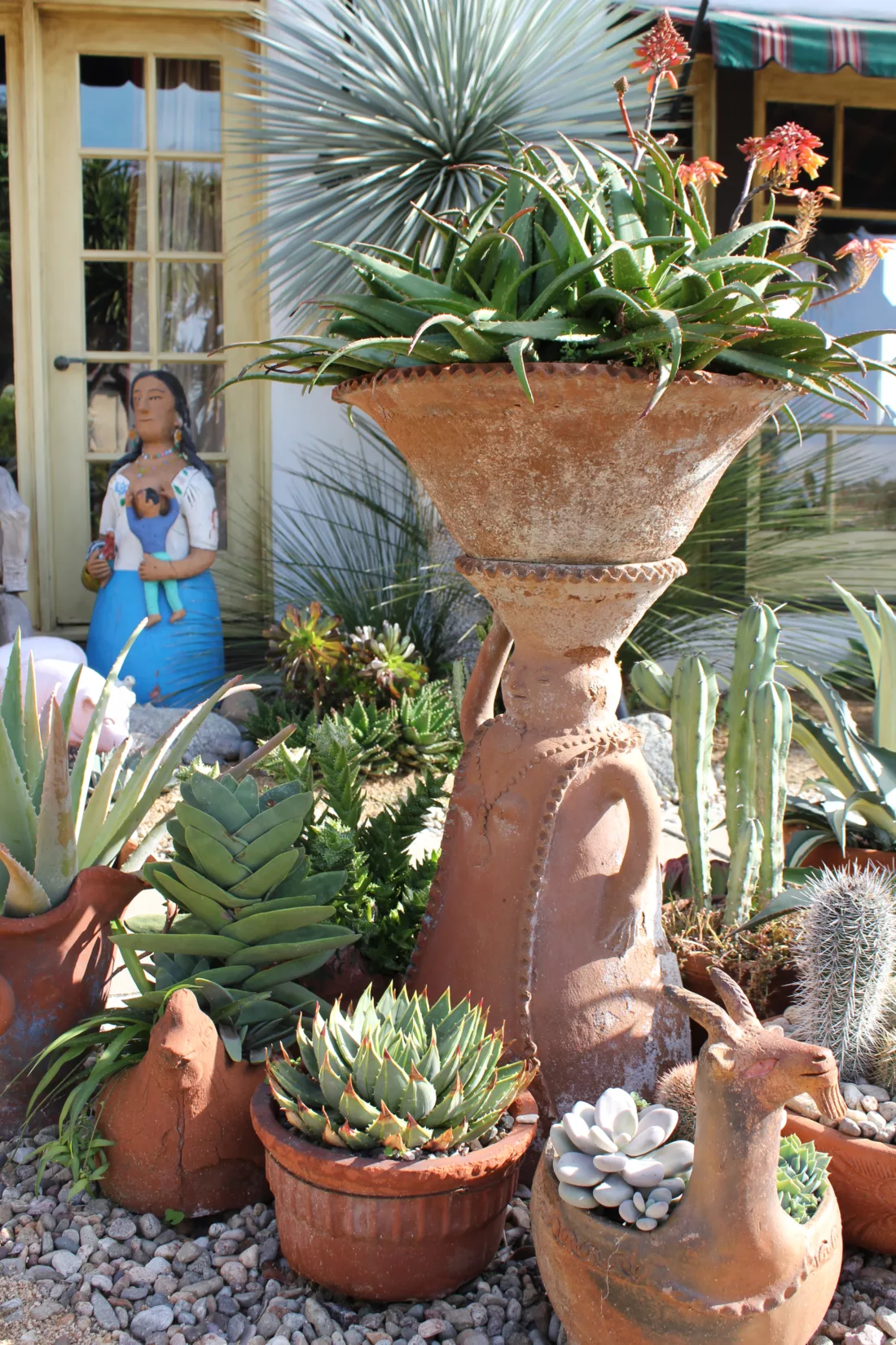 pottery and water-wise succulents and architectural plants in a xeric landscape