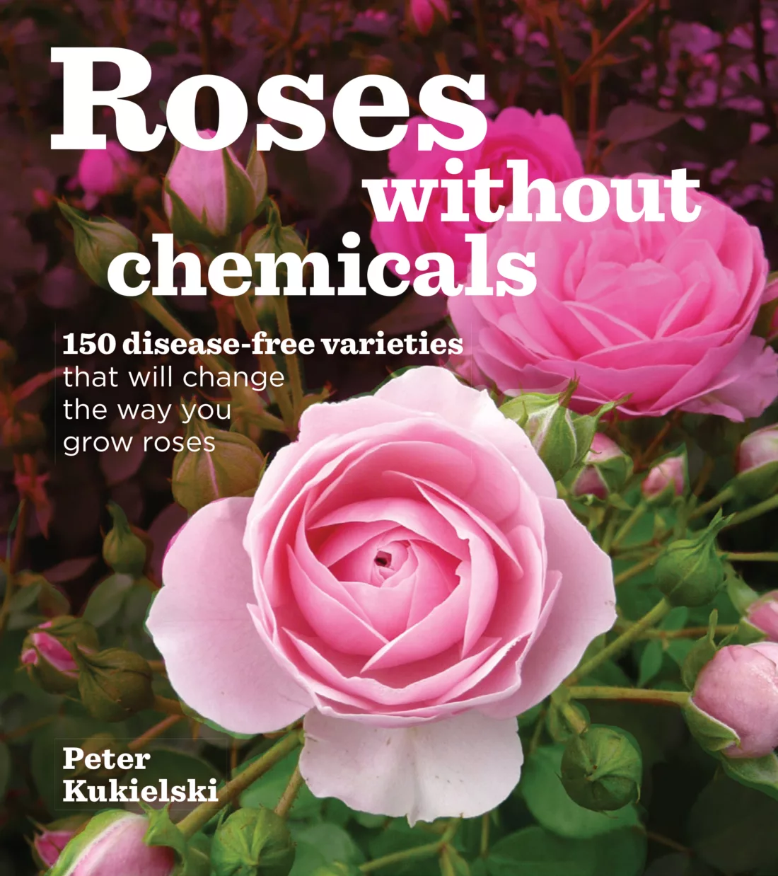 Peter Kukielski's book about roses - roses without chemicals