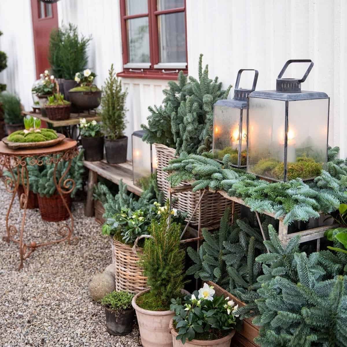 24 Tips for Easy, Clever, and Creative Outdoor Winter Planters and ...