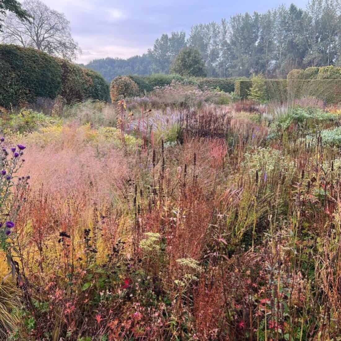 hummelo garden in the Netherlands by piet oudolf