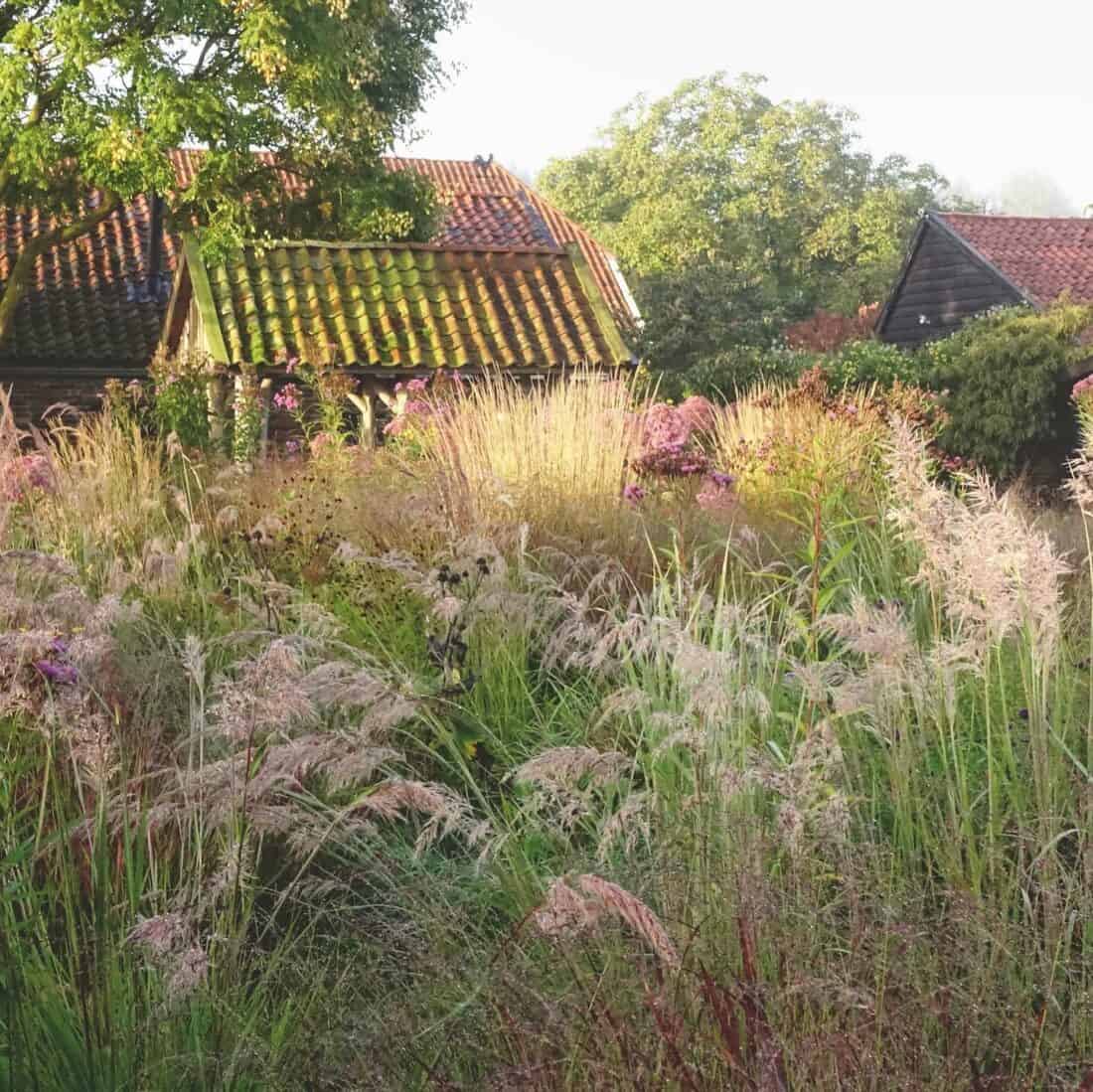 medow planting at hummelo garden in the Netherlands by piet oudolf