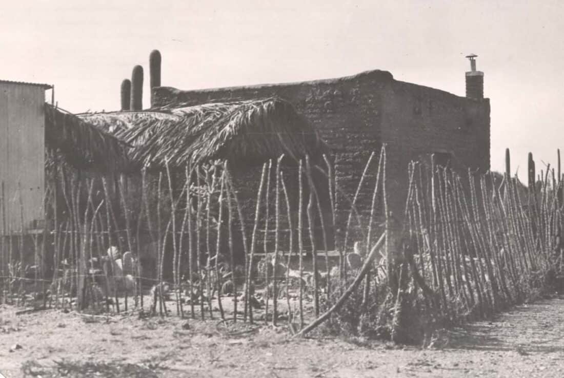 freeman homestead with ocotillo fence in saguaro national park