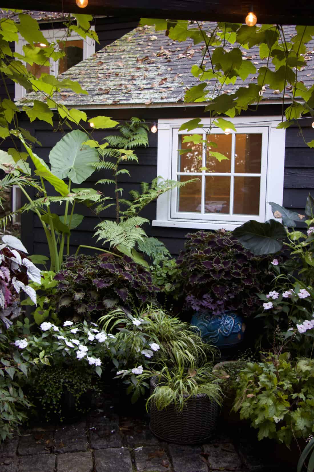 A shady Container Garden by Rochelle Greayer