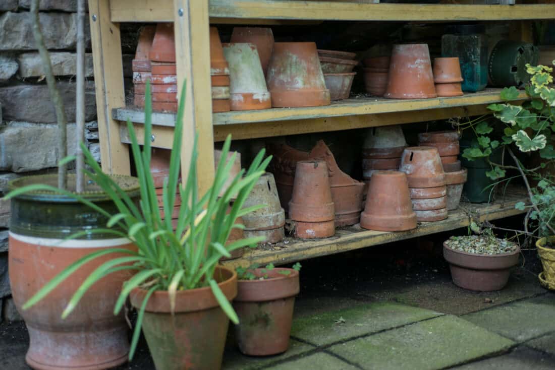 A wooden shelving unit outdoors, holding various sizes of terracotta pots, some stacked neatly and others placed on the ground with plants.