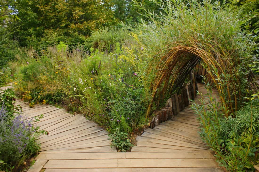 living willow tunnel in a garden