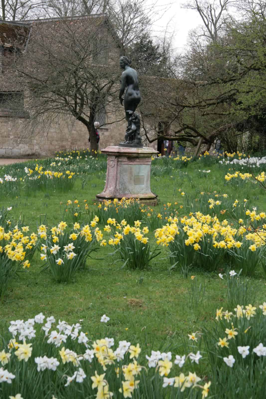 bulb meadow hides under a traditional lawn and emerges in the spring. This is called a stinzenplanten,